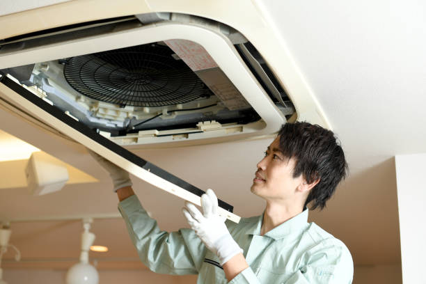 Best Air Duct Sanitizing Services  in Greenfield, IL